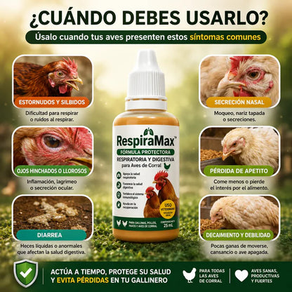 🐔 RespiraMax™: Aves Más Sanas y Fuertes